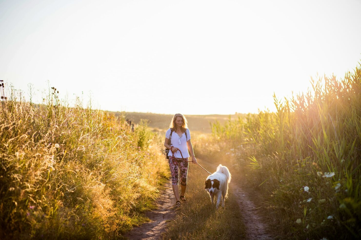 Frau spaziert mit ihrem Hund auf einem Feldweg